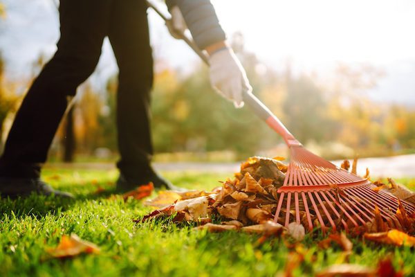 Spring and Fall Clean-Up Services in Winfield, IL