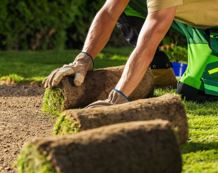 Expert Sod Installation in Addison, IL