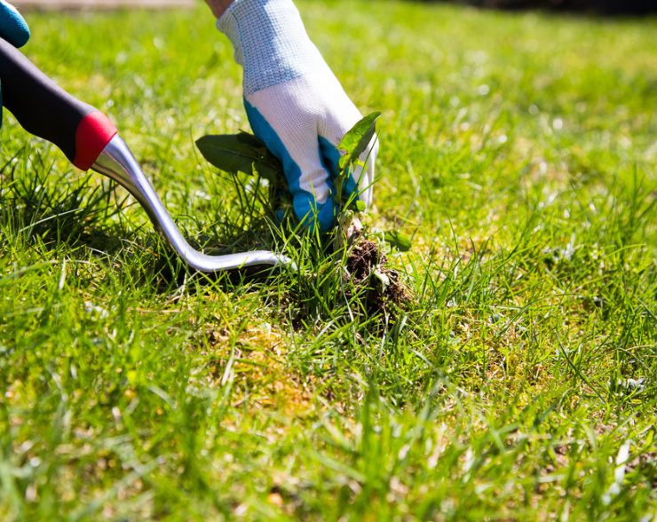 Fertilizer and Weed Control in Warrenville, IL