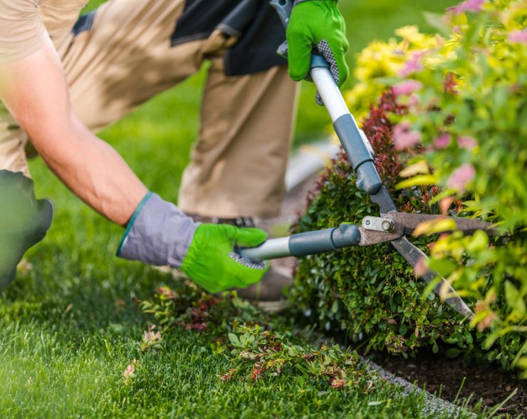 Landscape maintenance in Winfield, IL