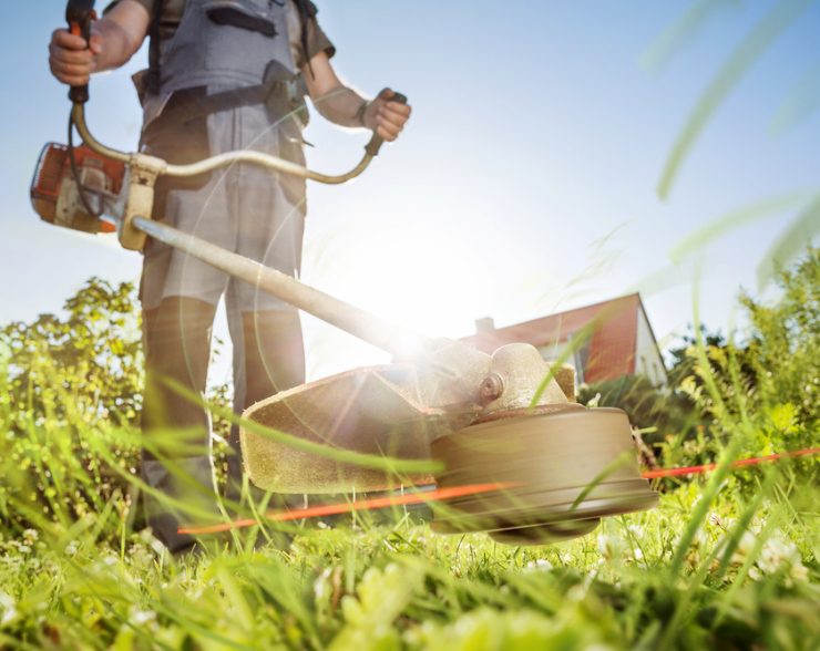 Professional Lawn Care Services in Winfield, IL