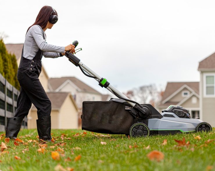 Seasonal Lawn Care in Carol Stream, IL