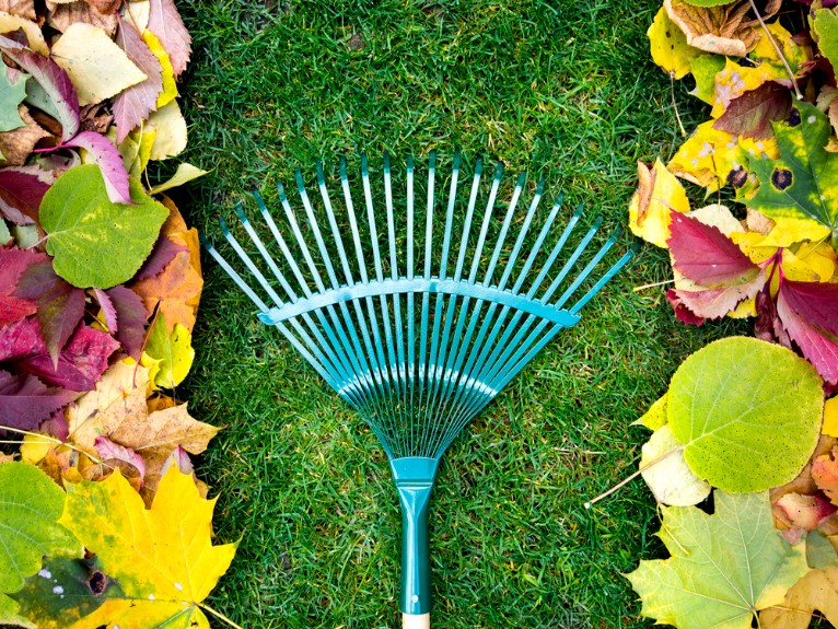 Spring and Fall Clean-Ups in Winfield, IL